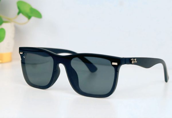 Ray-Ban Sunglasses (১ পিস)